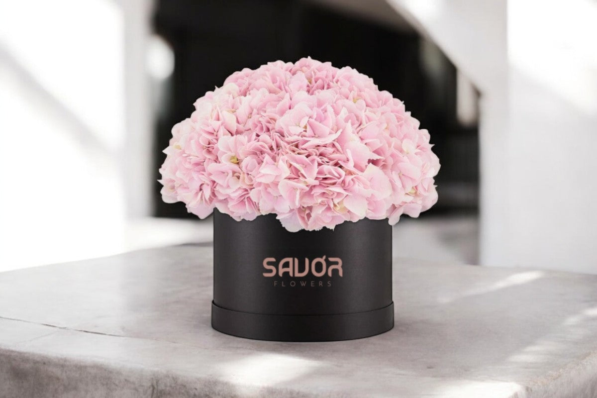 Hydrangeas Box