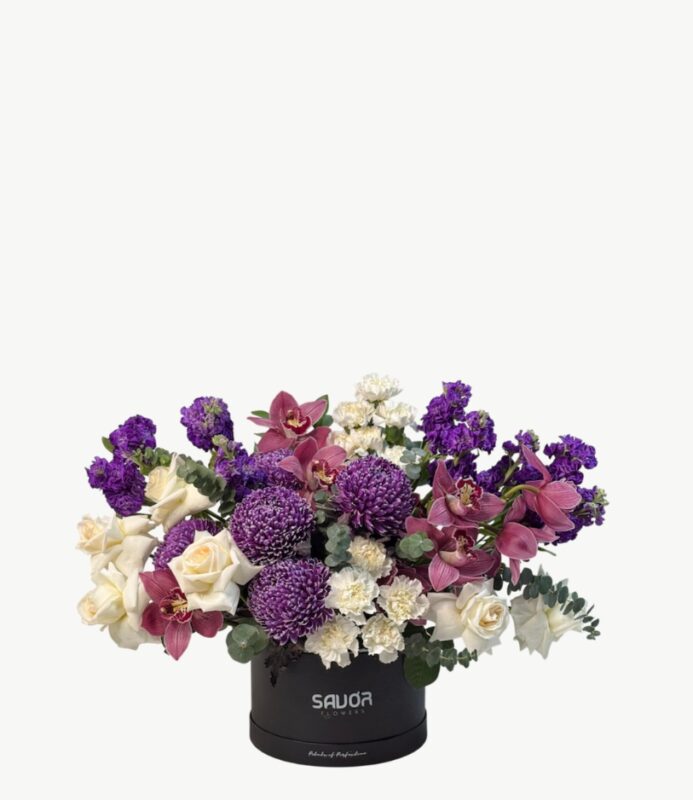 Orchid Dusk Symphony