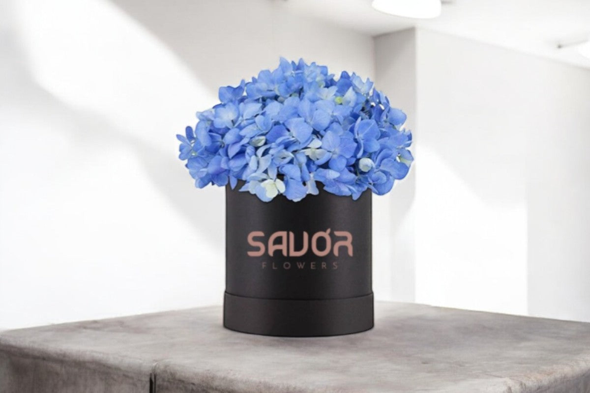 Hydrangeas Box