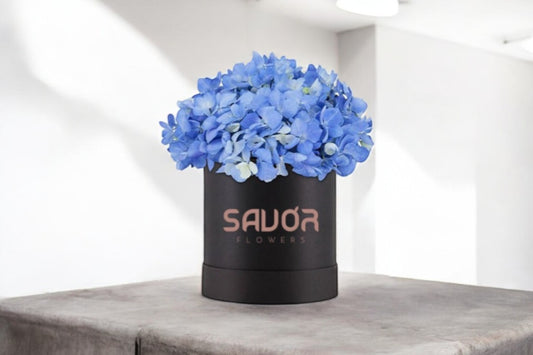 Hydrangeas Box