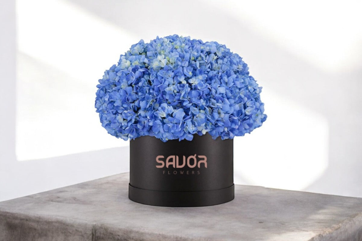 Hydrangeas Box