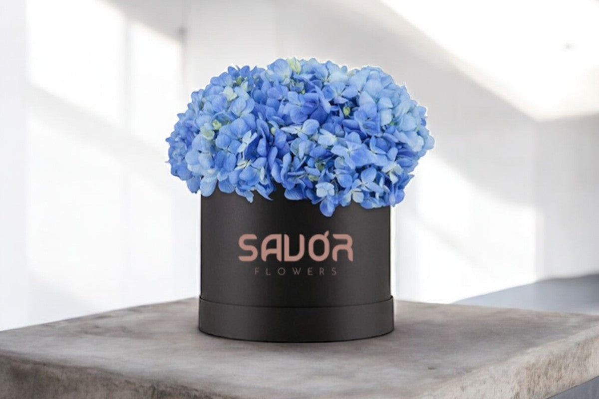 Hydrangeas Box