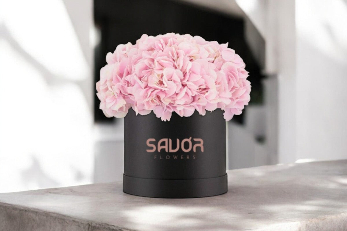 Hydrangeas Box