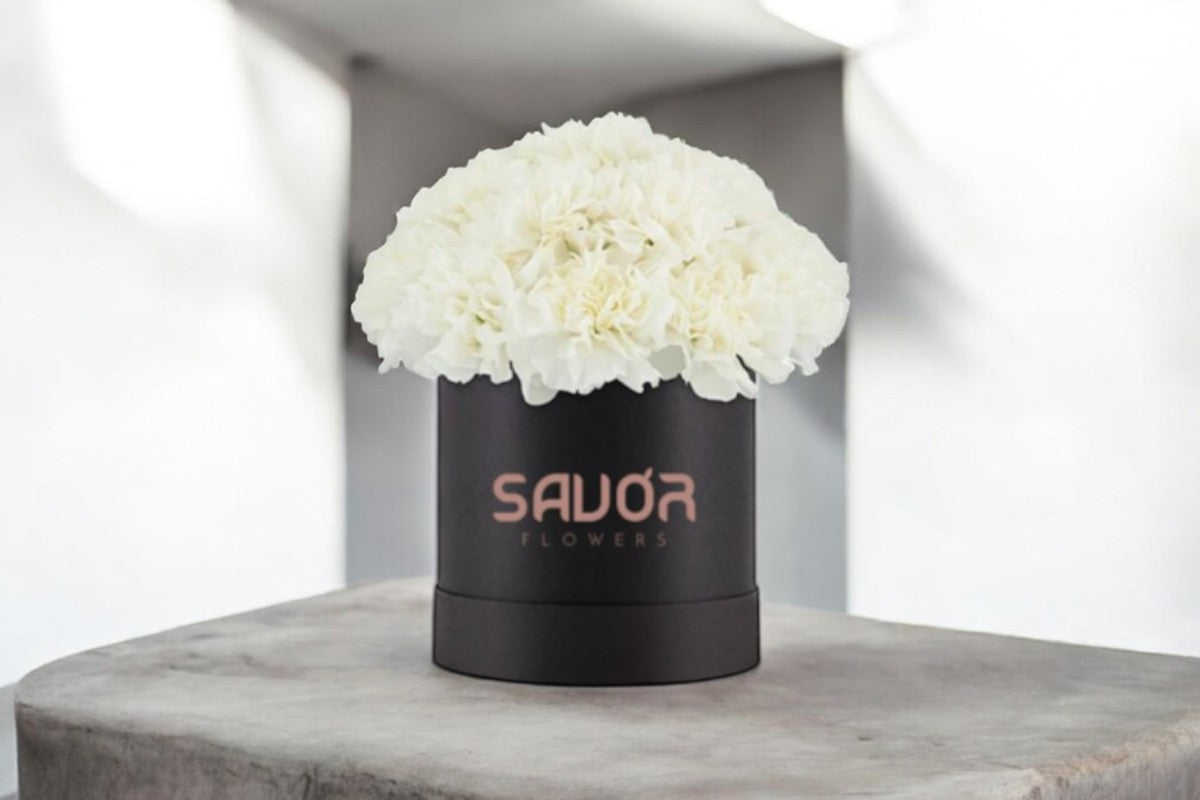 Carnation Box