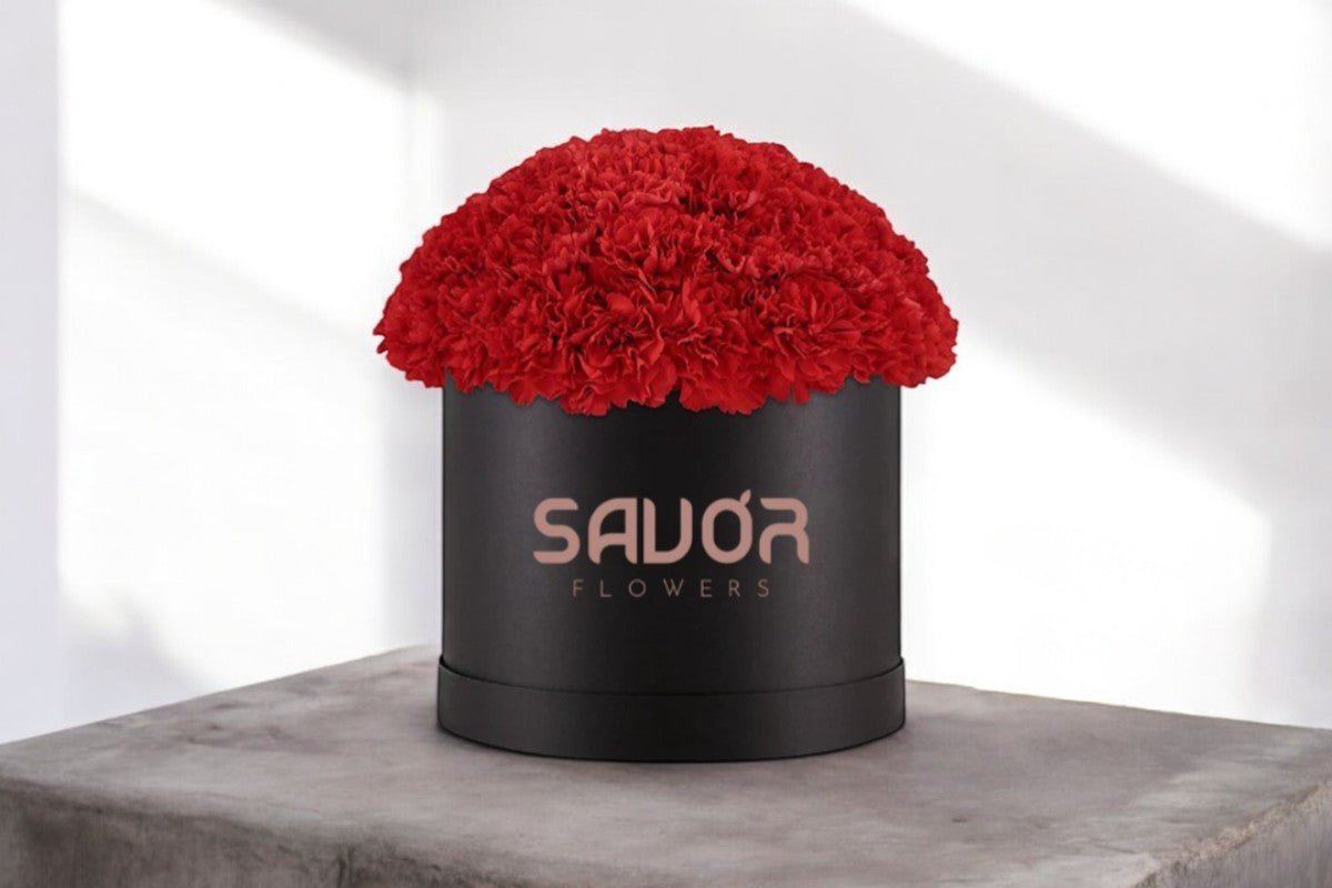 Carnation Box